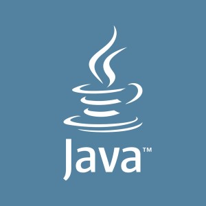 JAVA